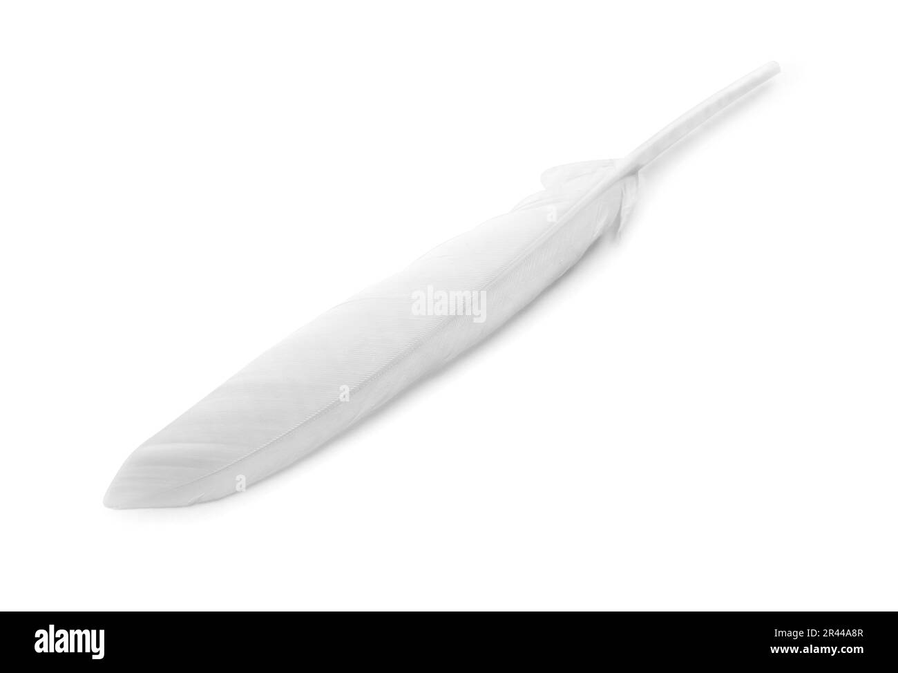 Beautiful fluffy bird feather isolated on white, top view Stock Photo