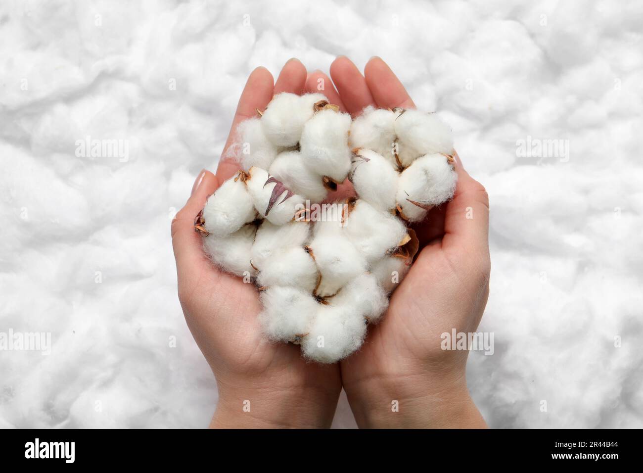 Cotton bud woman hi-res stock photography and images - Alamy