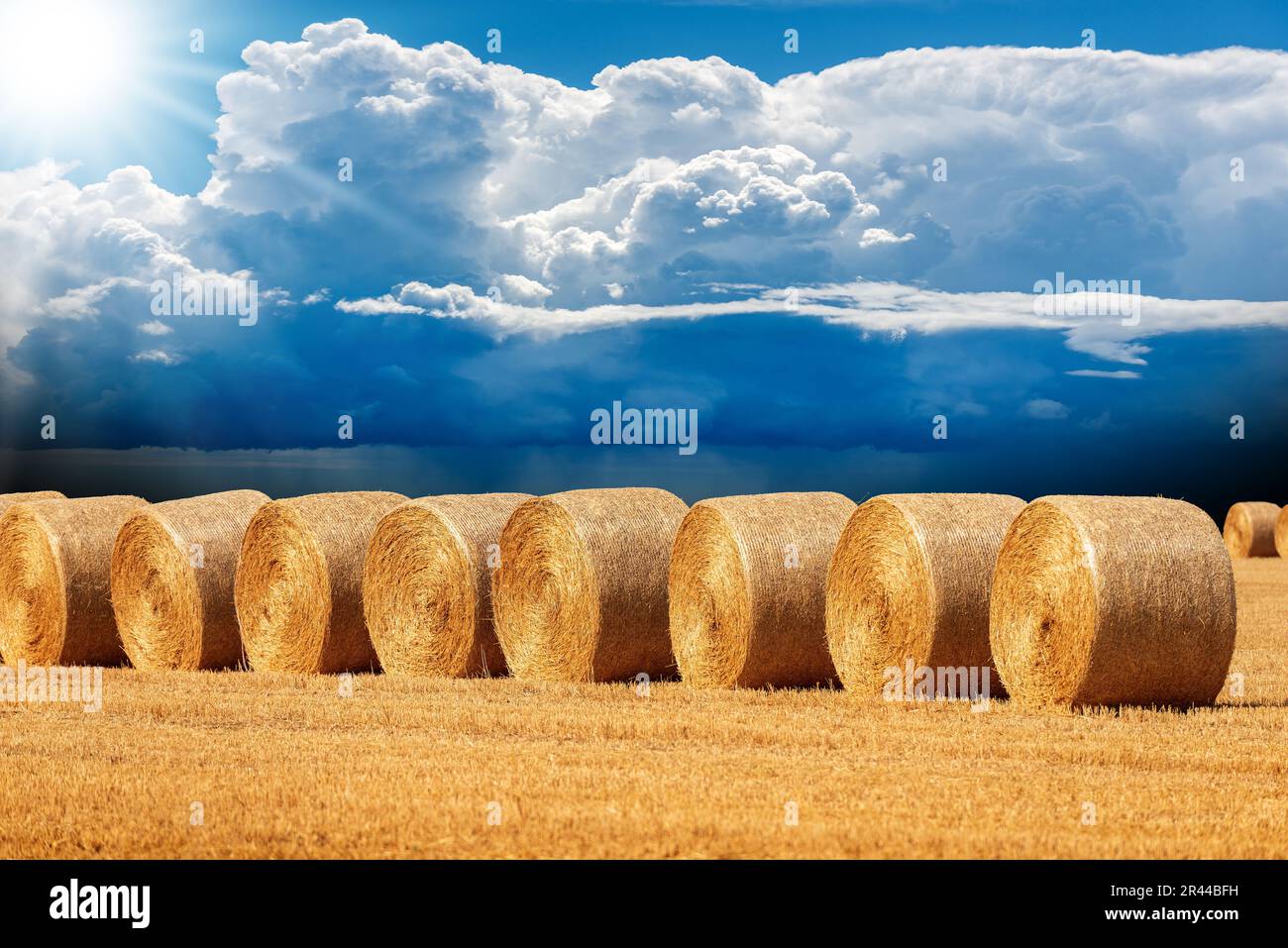 Row of golden hay bales in a sunny summer day with a beautiful blue sky ...