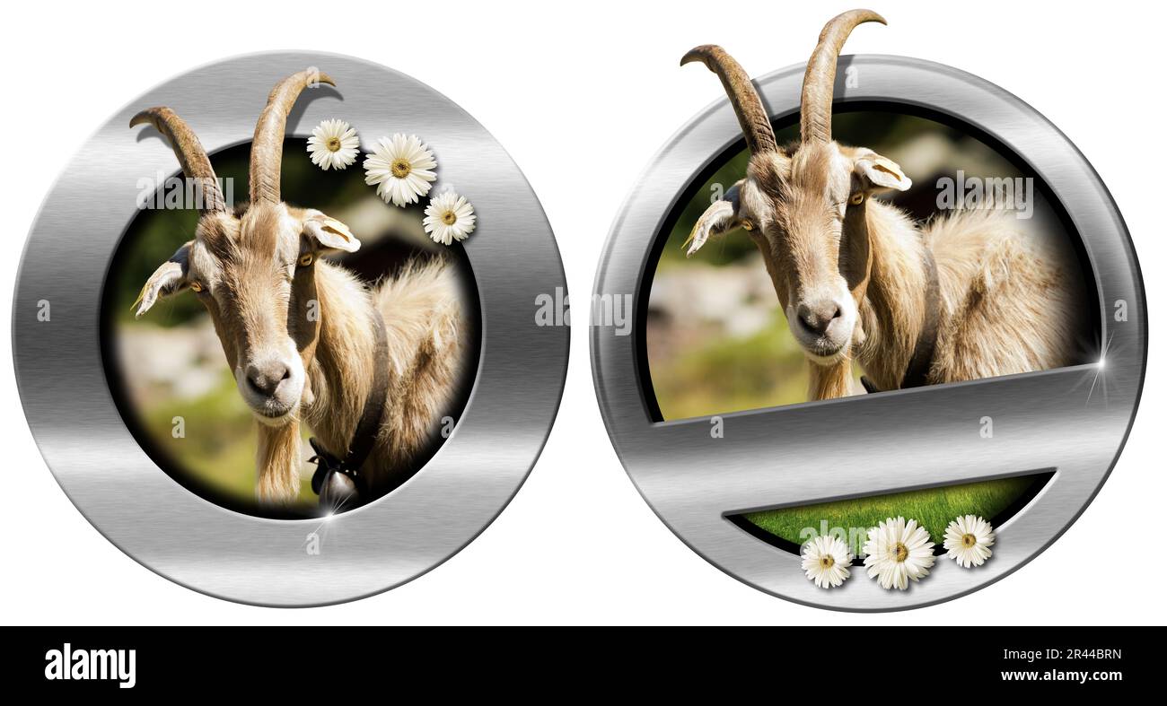 Metallic round icon or symbol with head of goat with horns (looking at ...