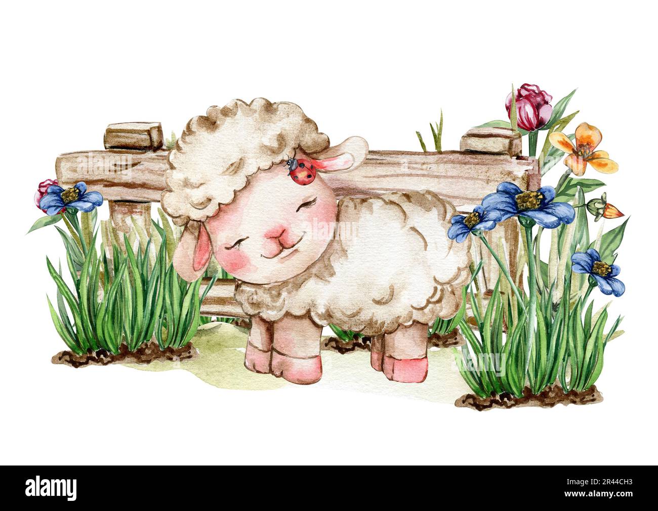 White fluffy sheep sitting in the grass with flowers and butterflies next to wooden fence. Watercolor hand drawn illustration of farm baby animal . Pe Stock Photo