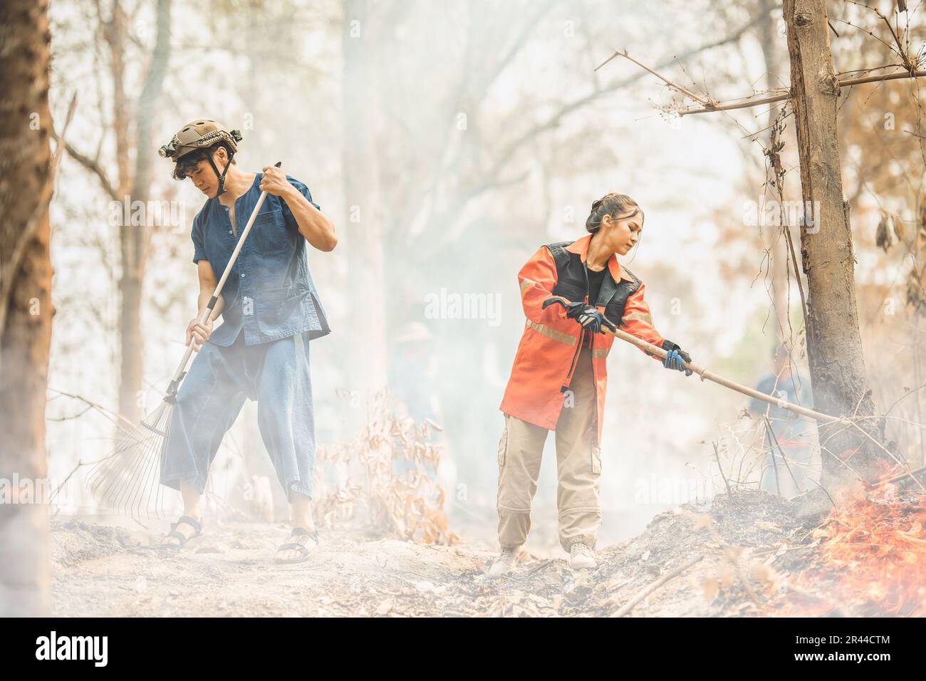 Volunteers fire fighting team people are extinguishing forest fires in dry forest tree hot summer weather. Stock Photo