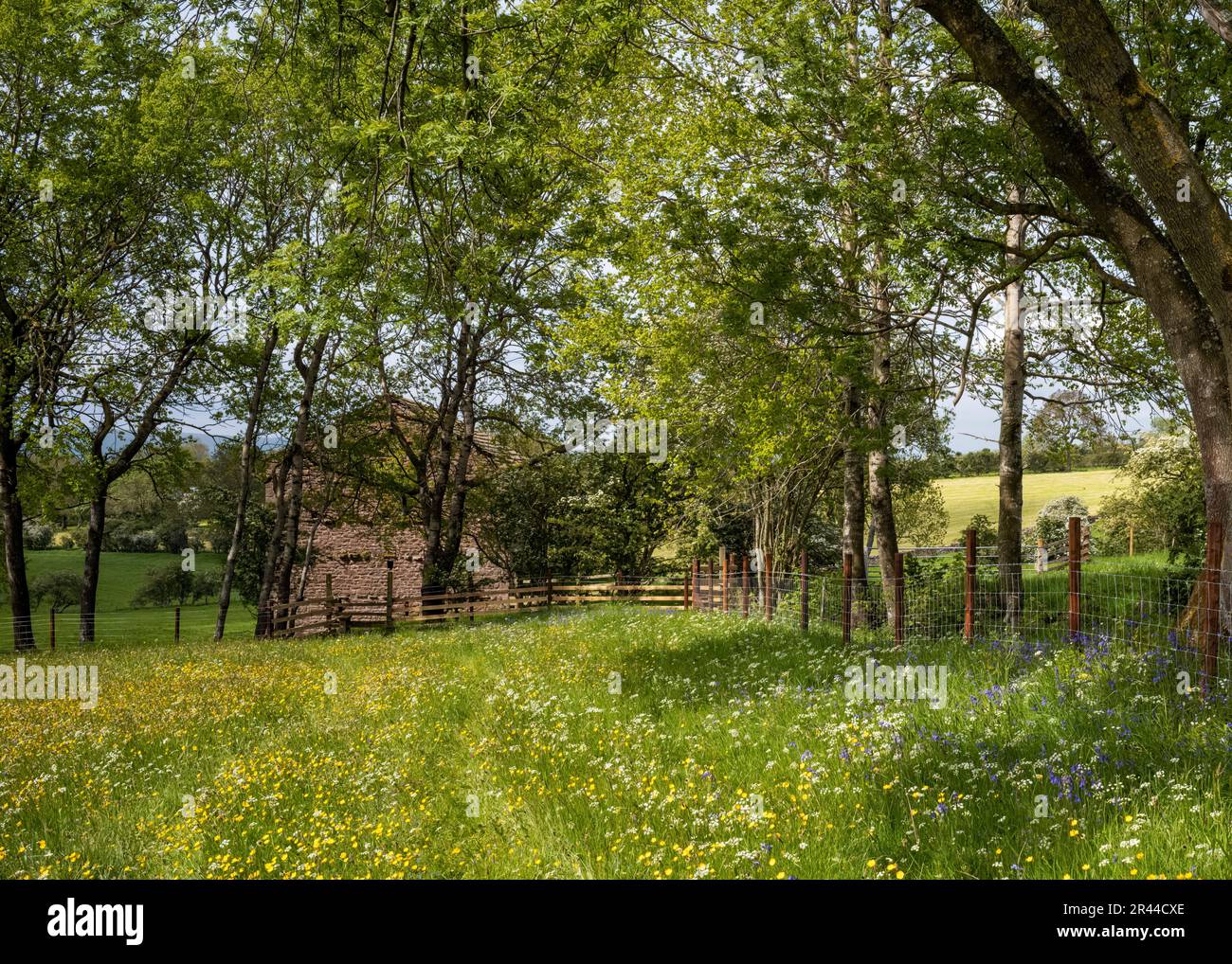 'A corner of a field' in the Eden Valley, Brough Sowerby, Cumbria, UK Stock Photo