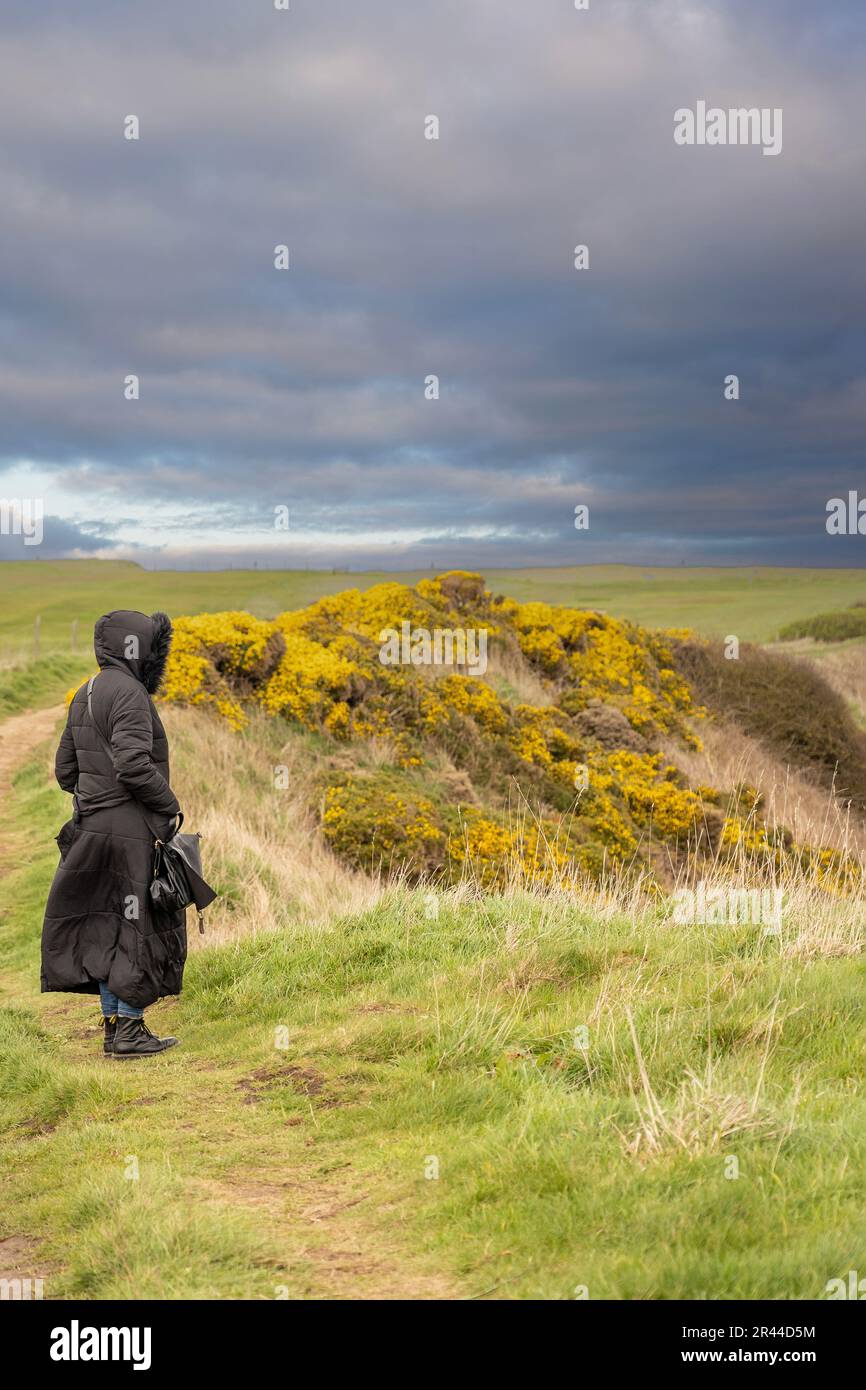 girl in black stood on cliffs looking out at flambrough head, north yorkshire, uk Stock Photo