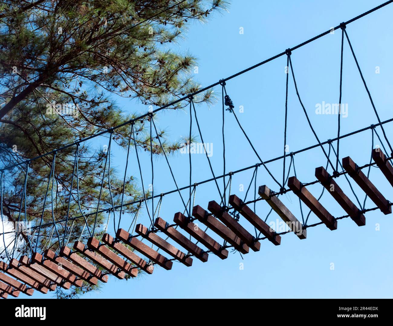 Tree Canopy Walkway, canopy bridge (wooden bridge) in Kalibiru Hill