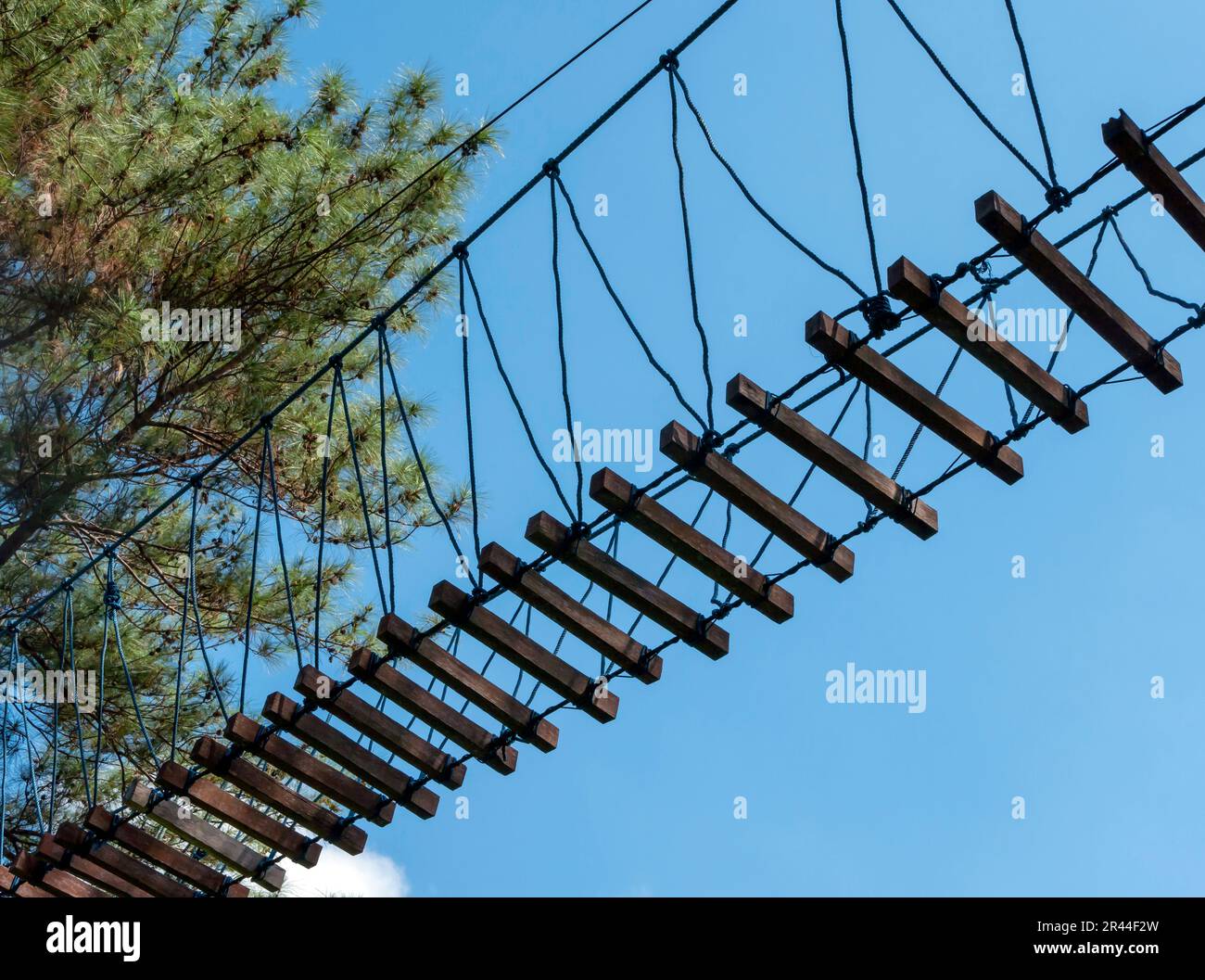 Tree Canopy Walkway, canopy bridge (wooden bridge) in Kalibiru Hill