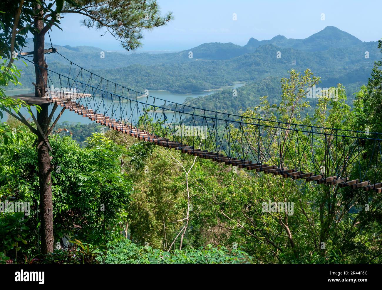 Tree Canopy Walkway, canopy bridge (wooden bridge) in Kalibiru Hill