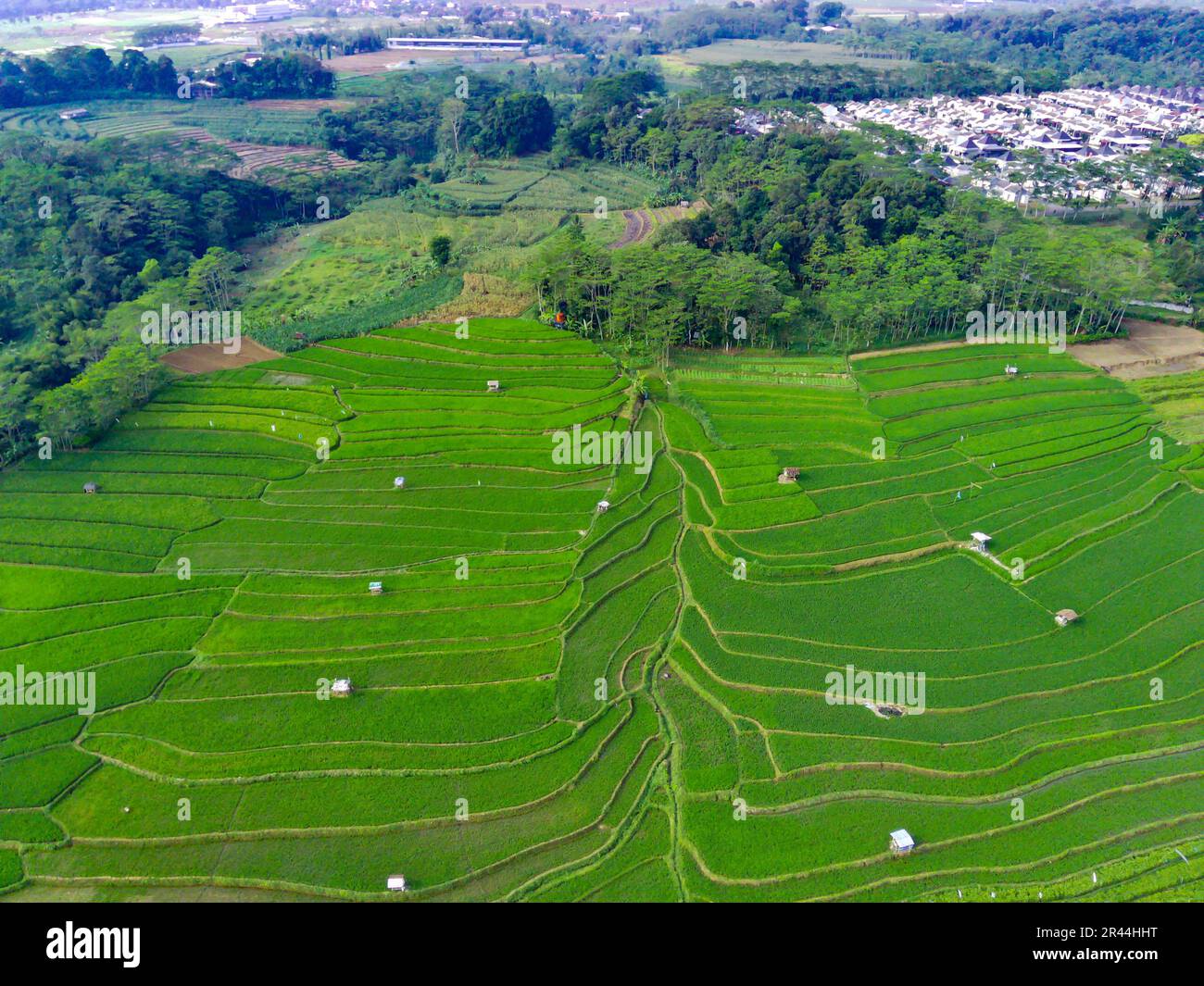 Crop rotation techniques hi-res stock photography and images - Alamy