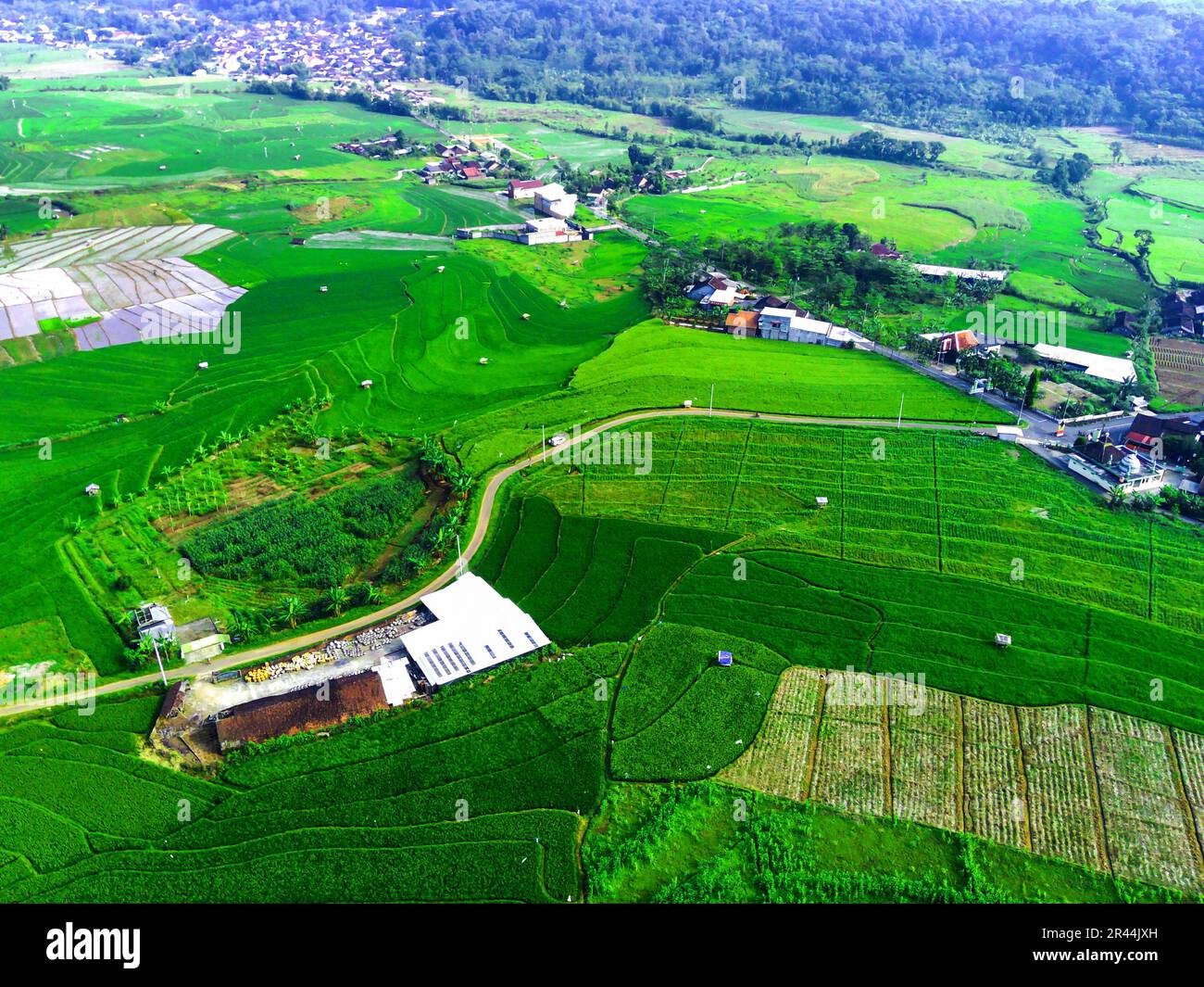 Crop rotation techniques hi-res stock photography and images - Alamy