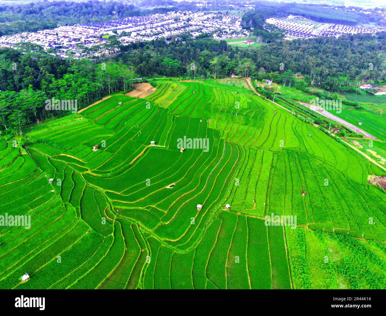 Crop rotation techniques hi-res stock photography and images - Alamy