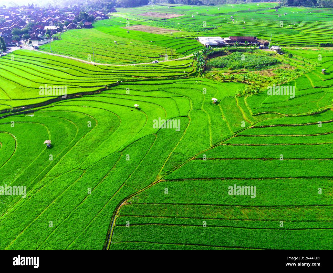 Crop rotation techniques hi-res stock photography and images - Alamy