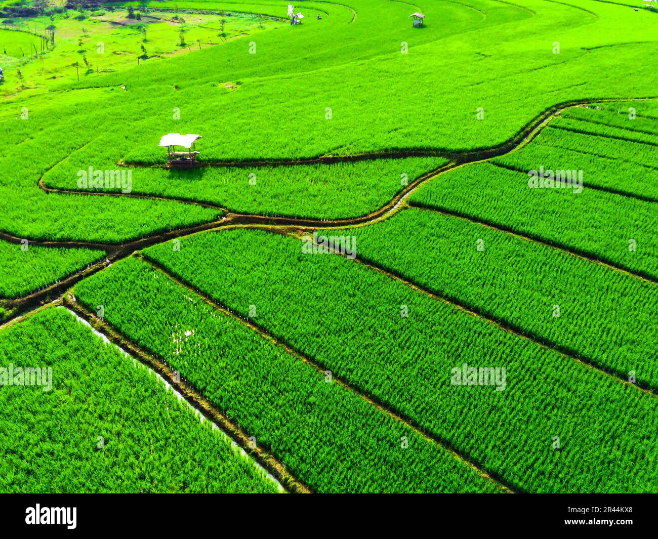 Crop rotation techniques hi-res stock photography and images - Alamy