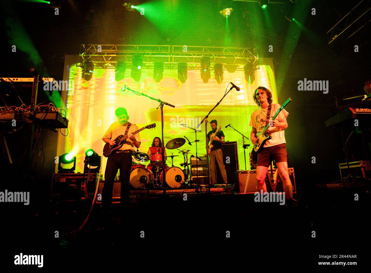 King gizzard photos hires stock photography and images Alamy