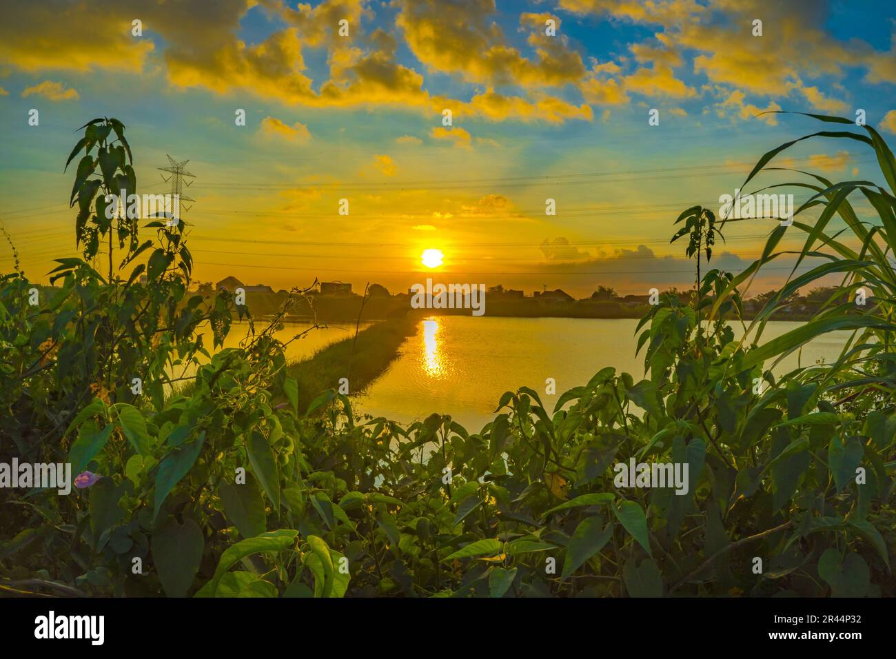 Sunset over the lake with trees and grass as foreground Stock Photo - Alamy