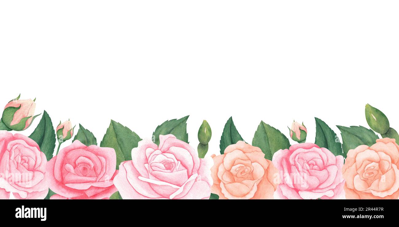 watercolor pink peach pastel roses flowers with leaves and bud ...