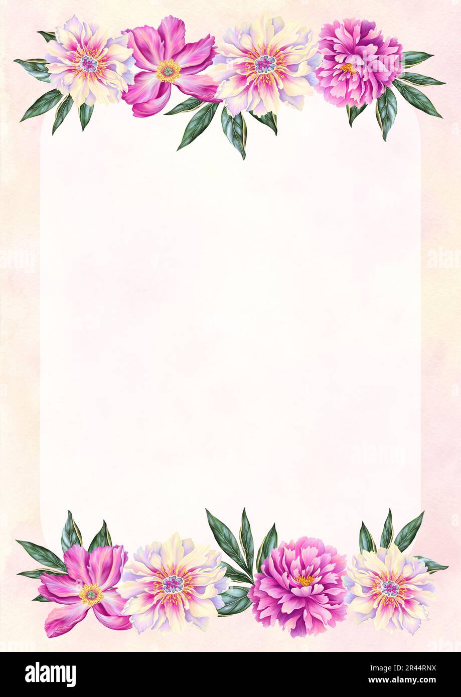 A4 template for text with beautiful peony. Frame or border with pink  flowers with leaves. Realistic high quality botanical illustration for  romantic p Stock Photo - Alamy