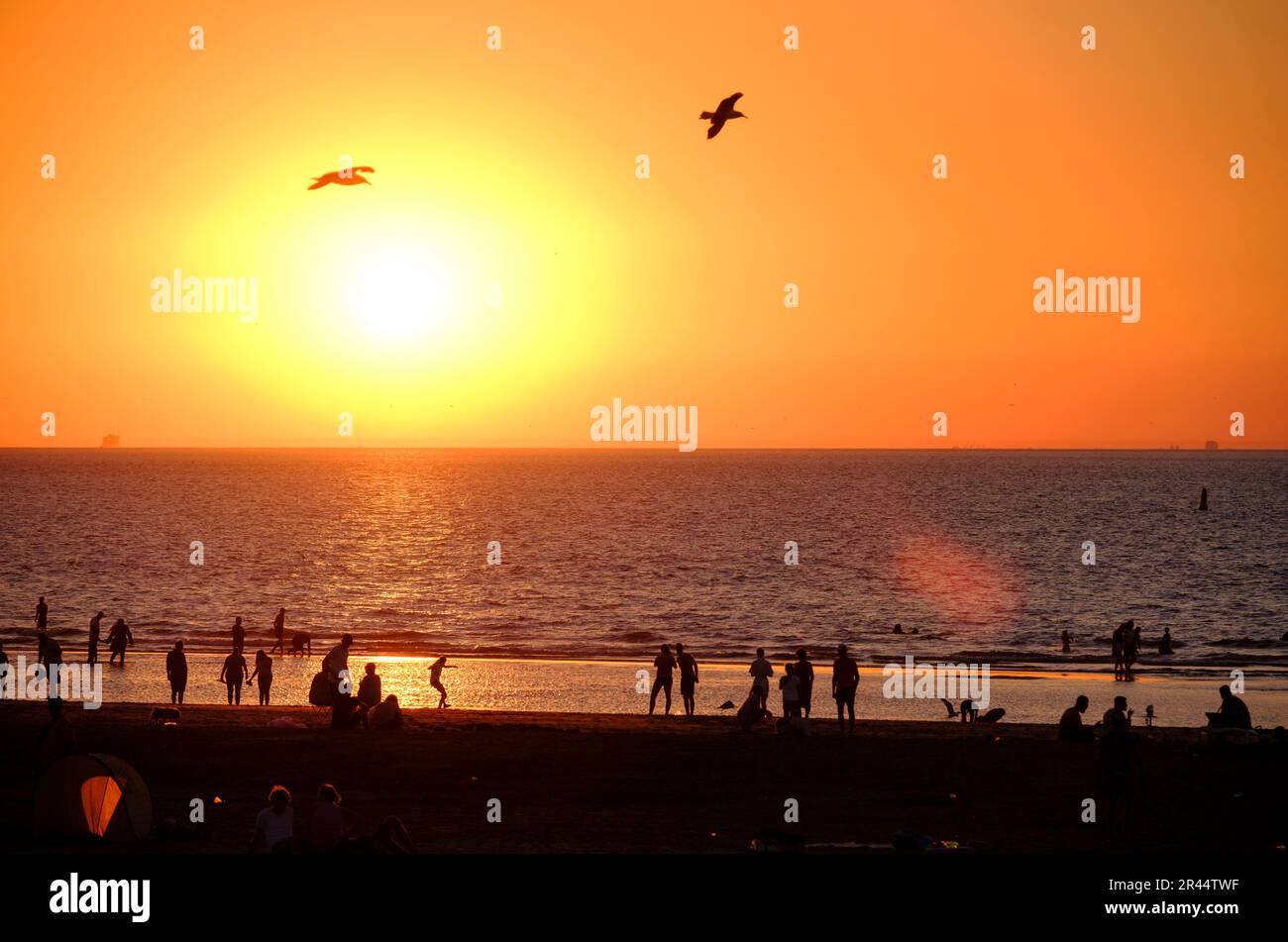 Netherlands, Hook of Holland (Hoek van Holland): sunset over the beach Stock Photo