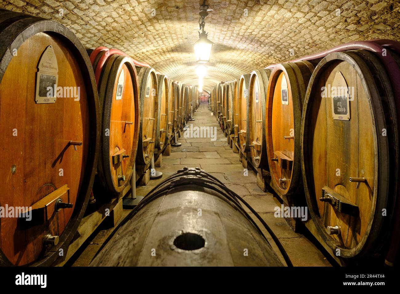 Strasbourg (north-eastern France): winery “cave historique des Hospices” Stock Photo