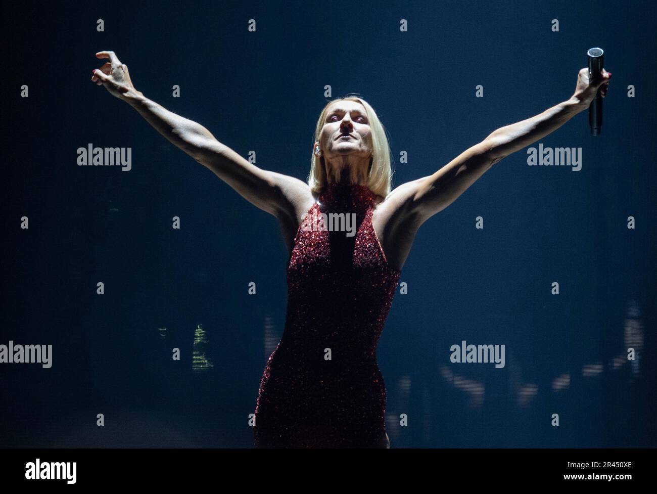 Celine dion best sale world tour 2019