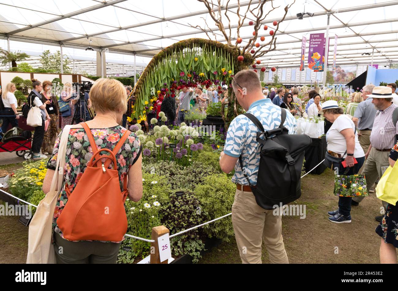 Chelsea Flower Show 2023 - a couple looking at flowers on a stall in the interior of the Great Pavilion, Chelsea, London UK Stock Photo
