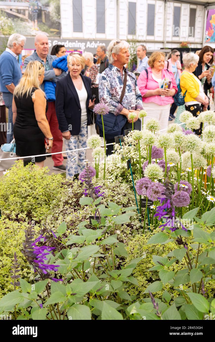 Chelsea Flower Show 2023 - visitors looking at flowers in the Great Pavilion; Chelsea, London UK Stock Photo