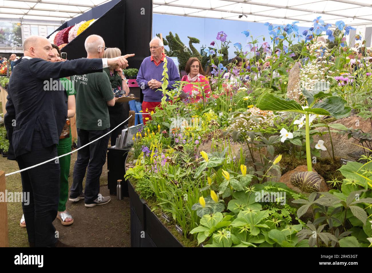 Chelsea Flower Show 2023 - visitors on RHS Members Day looking at plants inside the Great Pavilion; Chelsea London UK Stock Photo