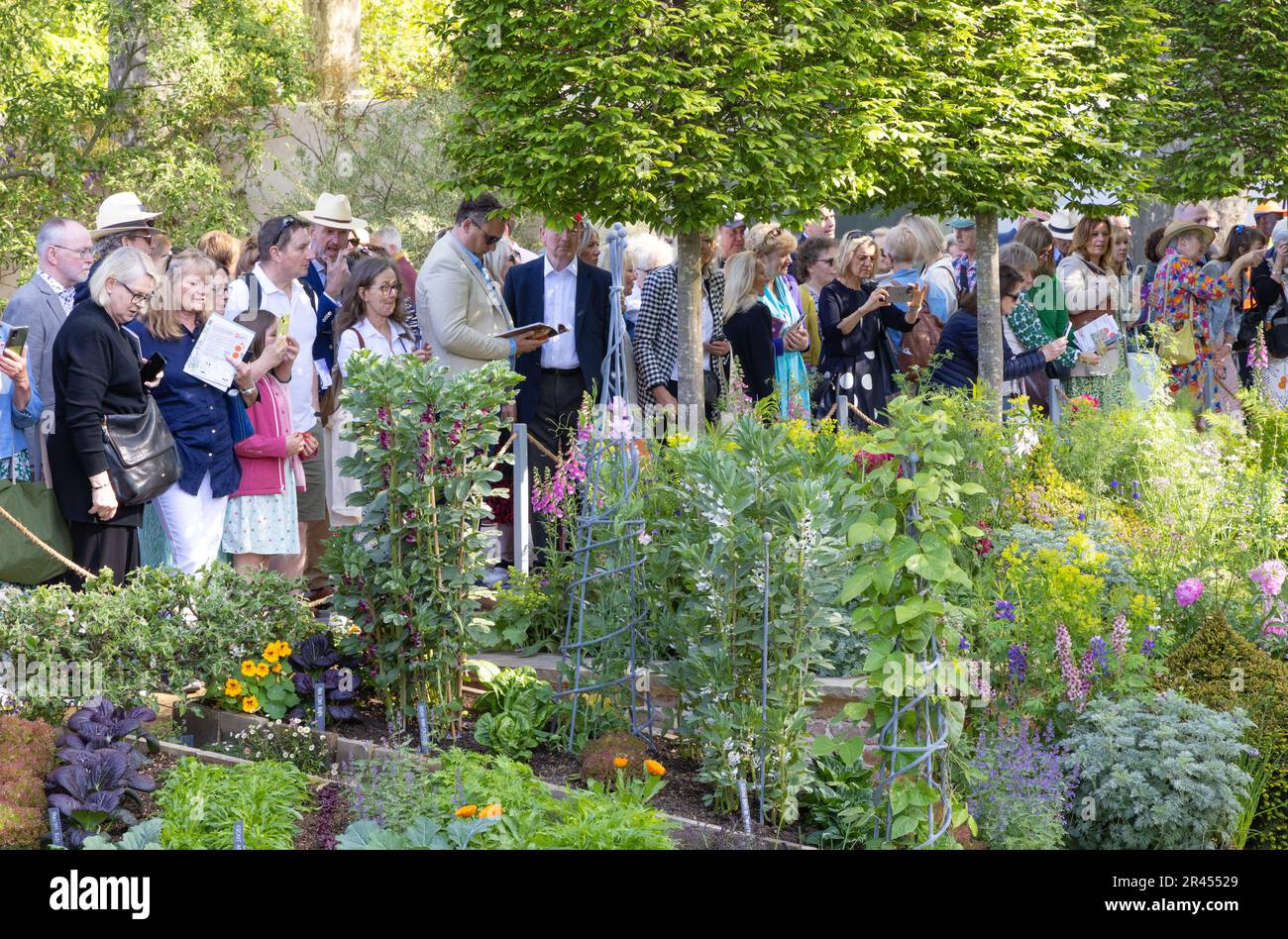 Chelsea Flower Show 2023 visitors looking at the show gardens in