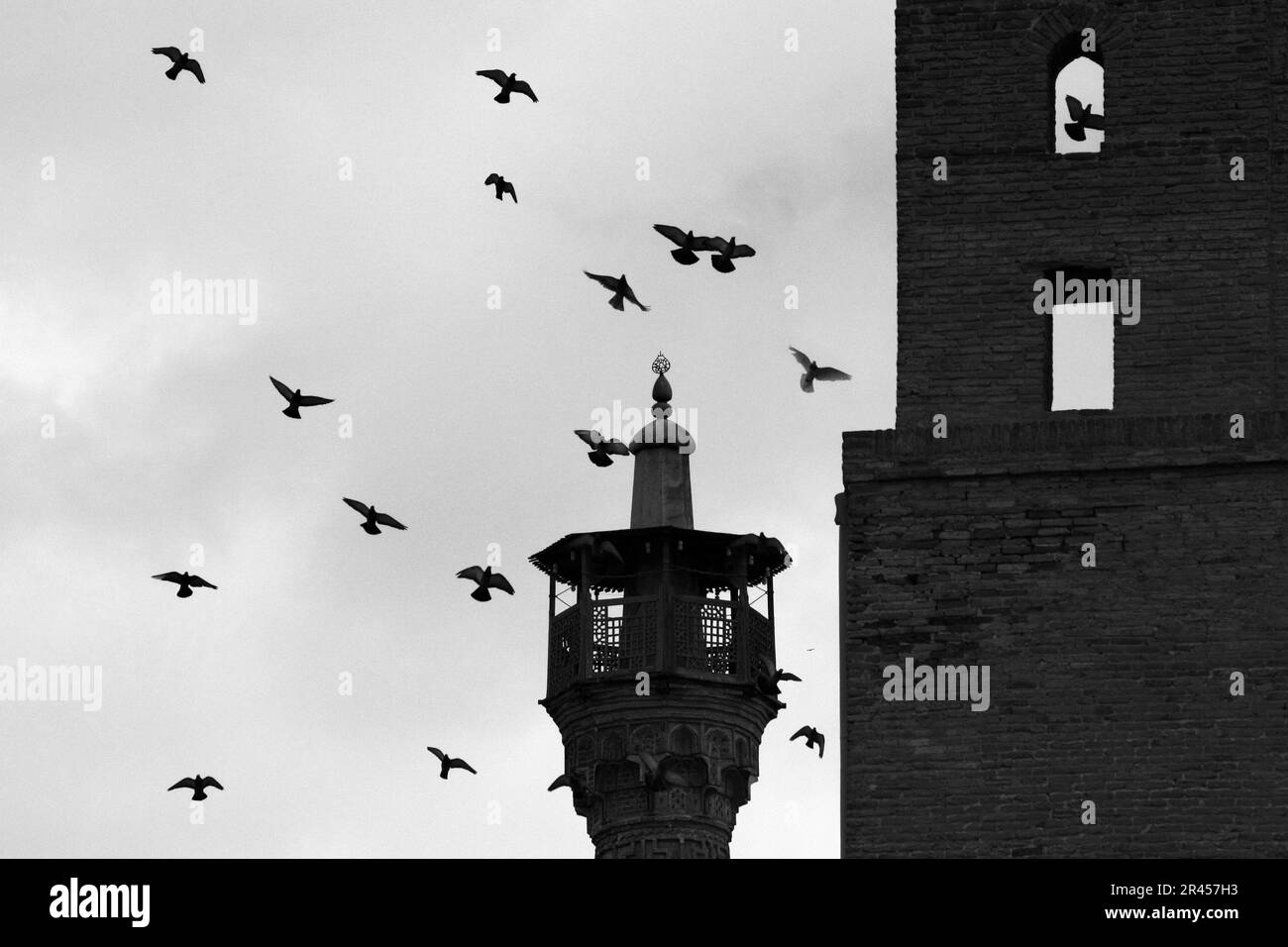 A flock of birds soar through the air in front of a majestic tower Stock Photo