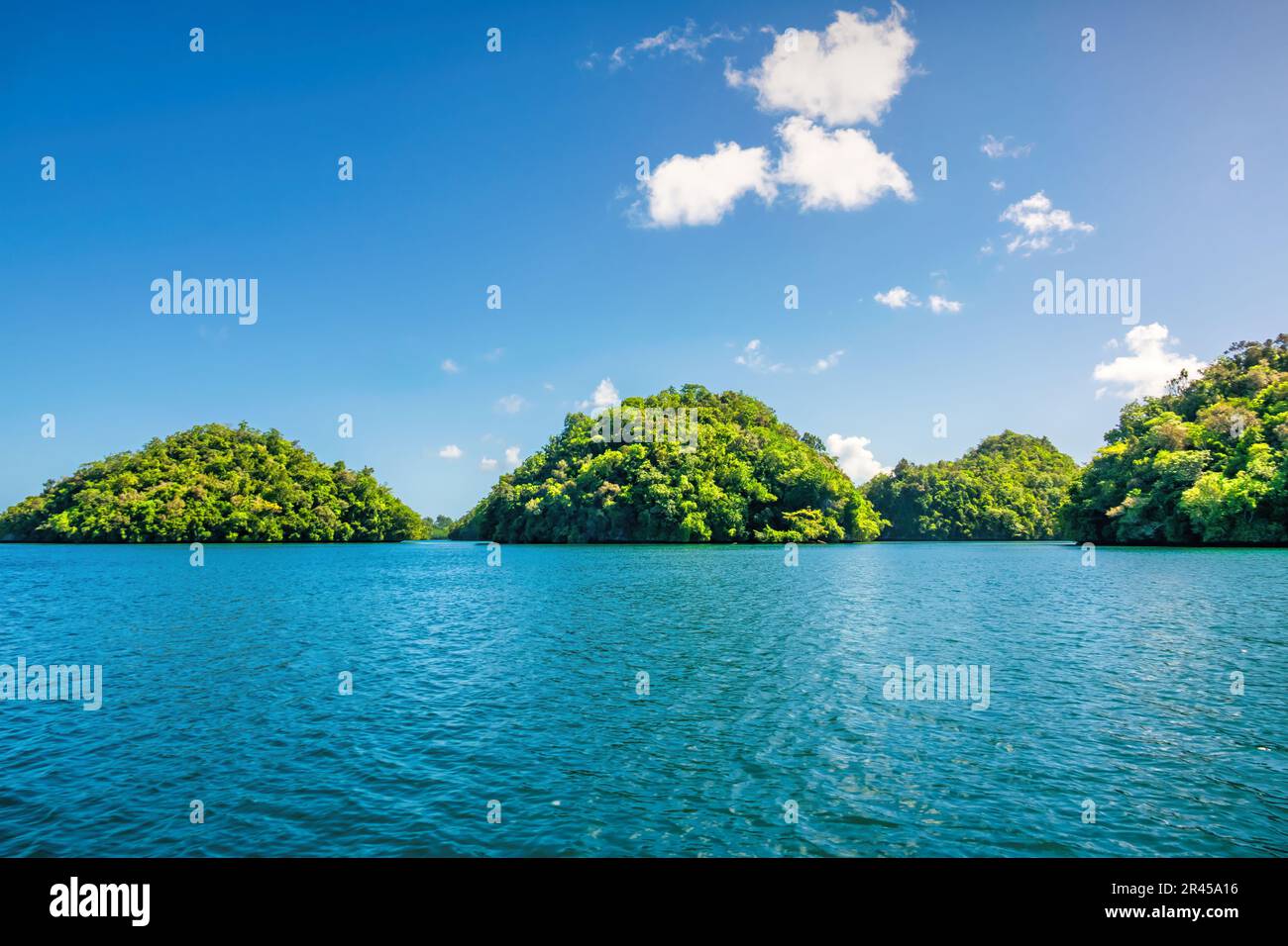 Typical islands in the Rock Islands in Palau, Micronesia, Oceania, UNESCO World Heritage Site Stock Photo