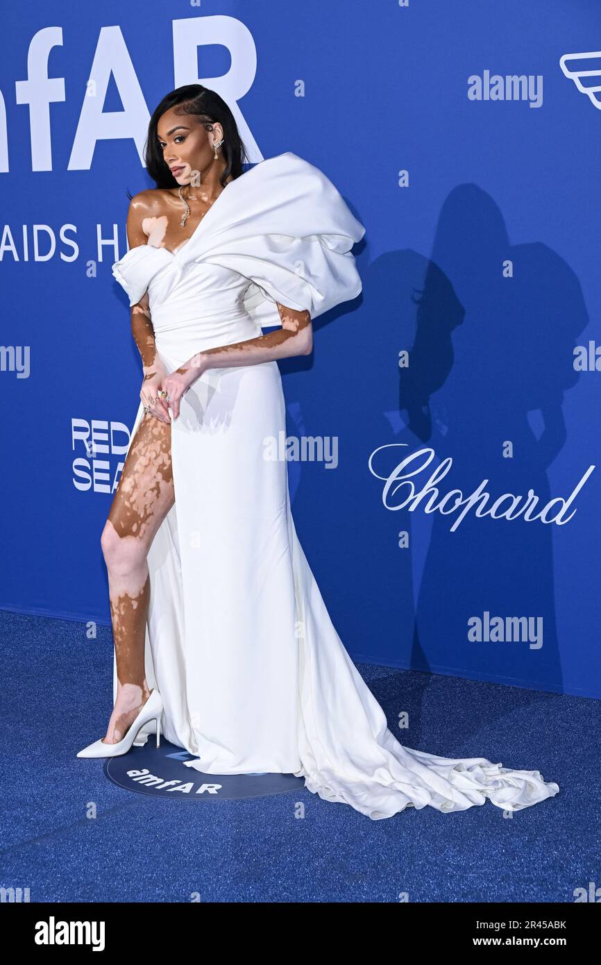 Winnie Harlow 2023 Cannes Film Festival Two-Tone Red Carpet Gown