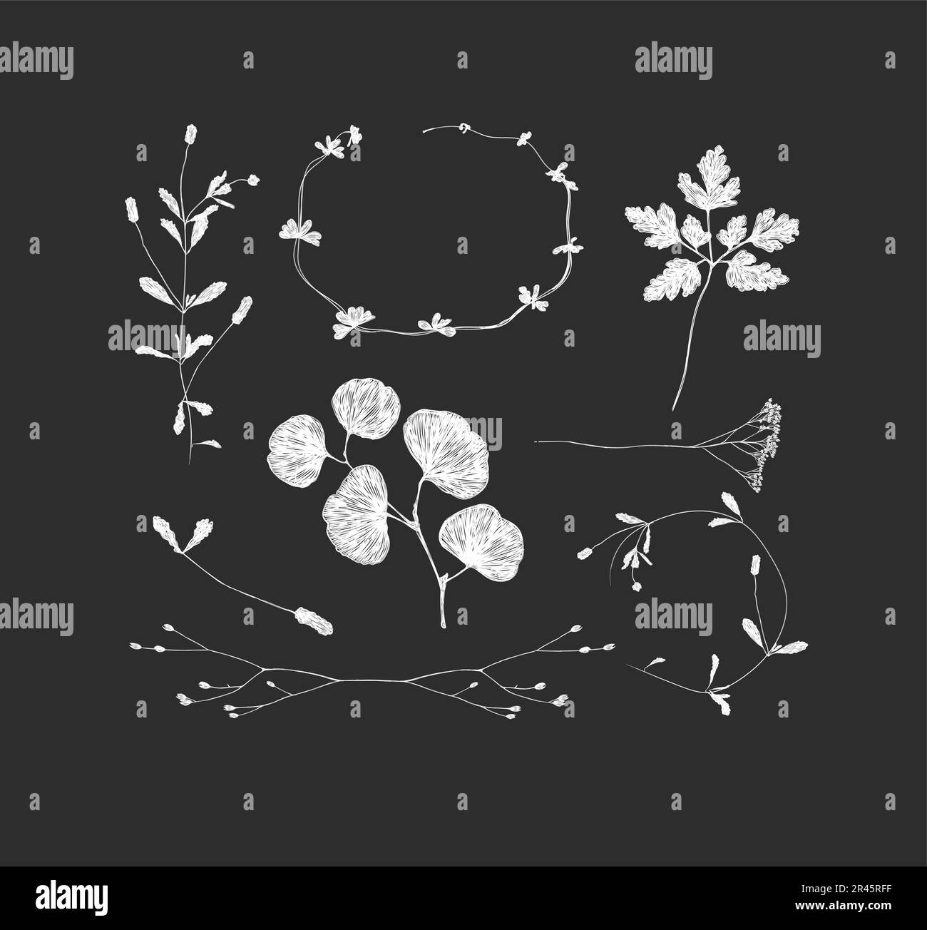 Branches and leaves silhouettes set drawing on black background Stock ...