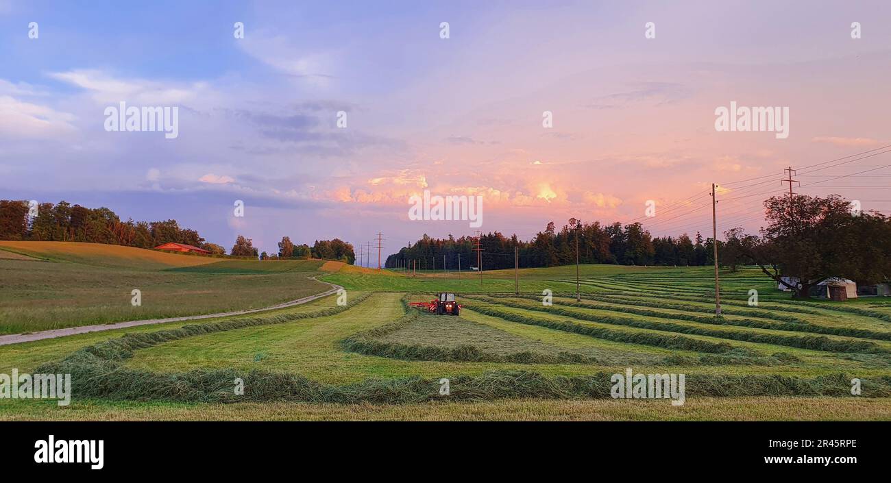 A tractor driving through an agricultural field at sunset Stock Photo ...