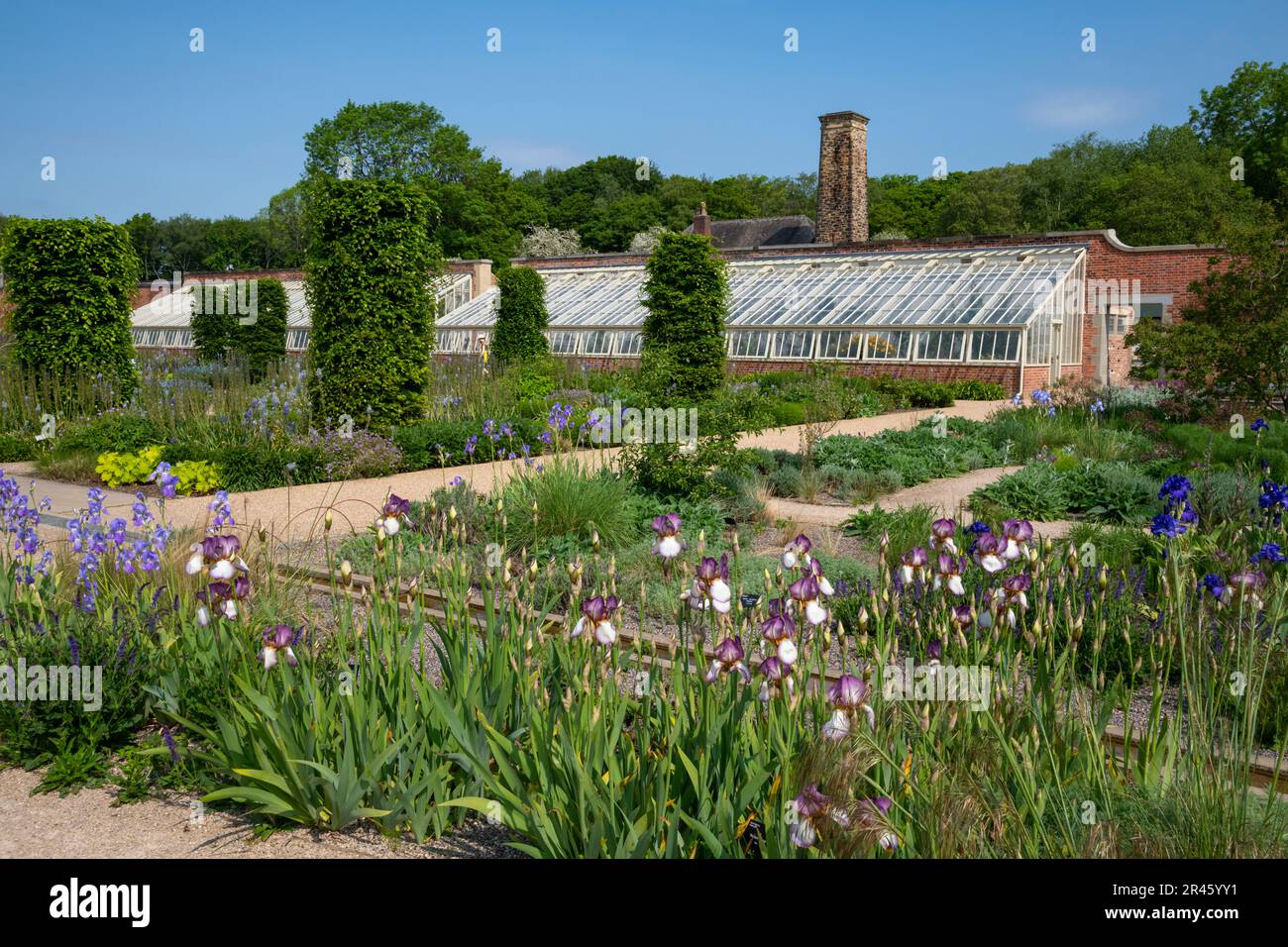 The Paradise garden at RHS Bridgewater, Worsley Greater Manchester ...