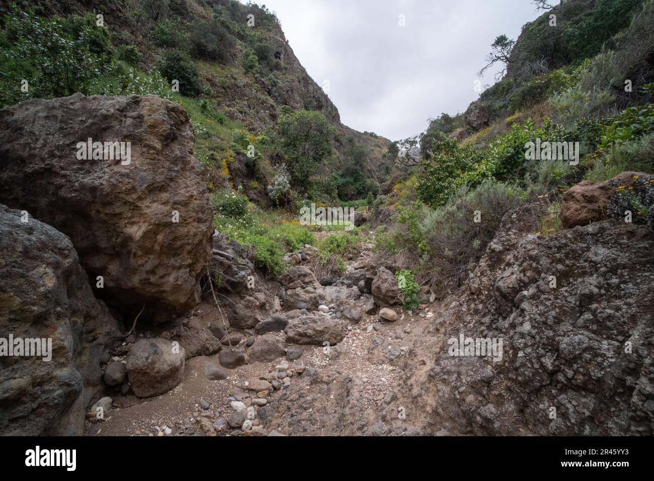 Smugglers Canyon on Santa Cruz island in the Channel islands National Park, Southern California. Stock Photo