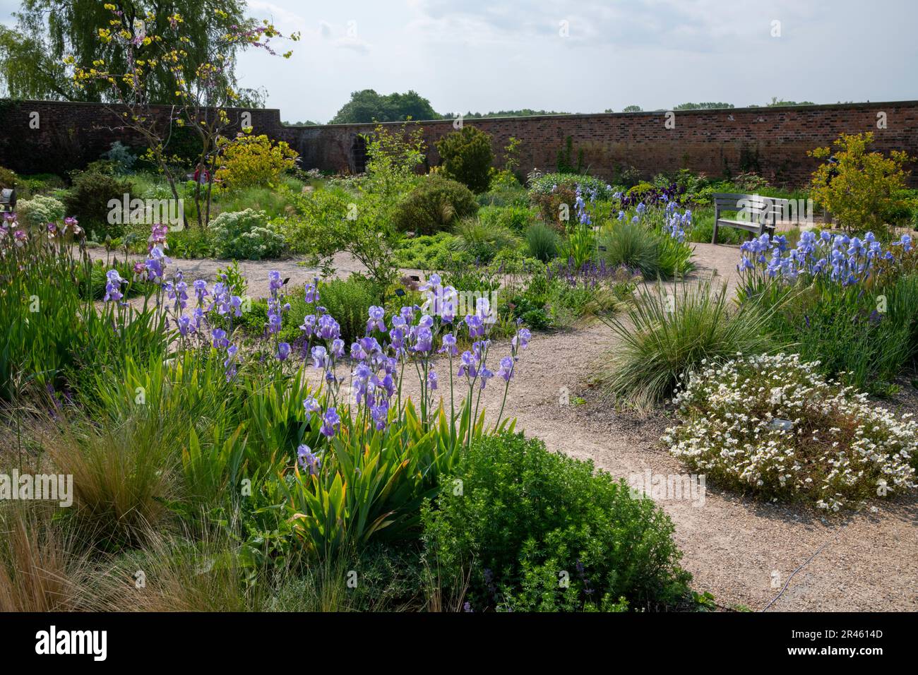 the-paradise-garden-at-rhs-bridgewater-worsley-greater-manchester