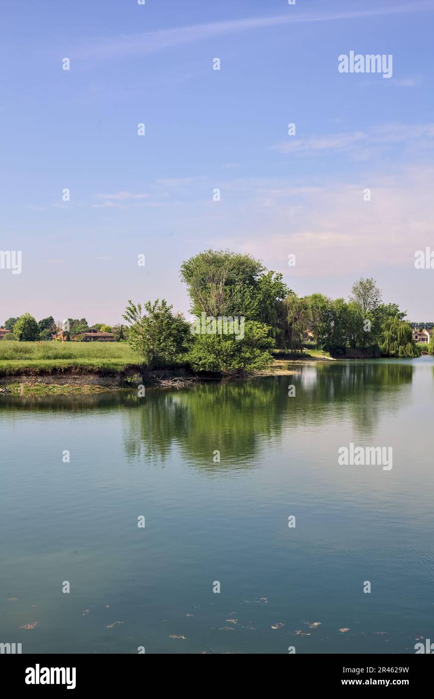 Trees by the edge of a basin and their reflections casted in the water ...