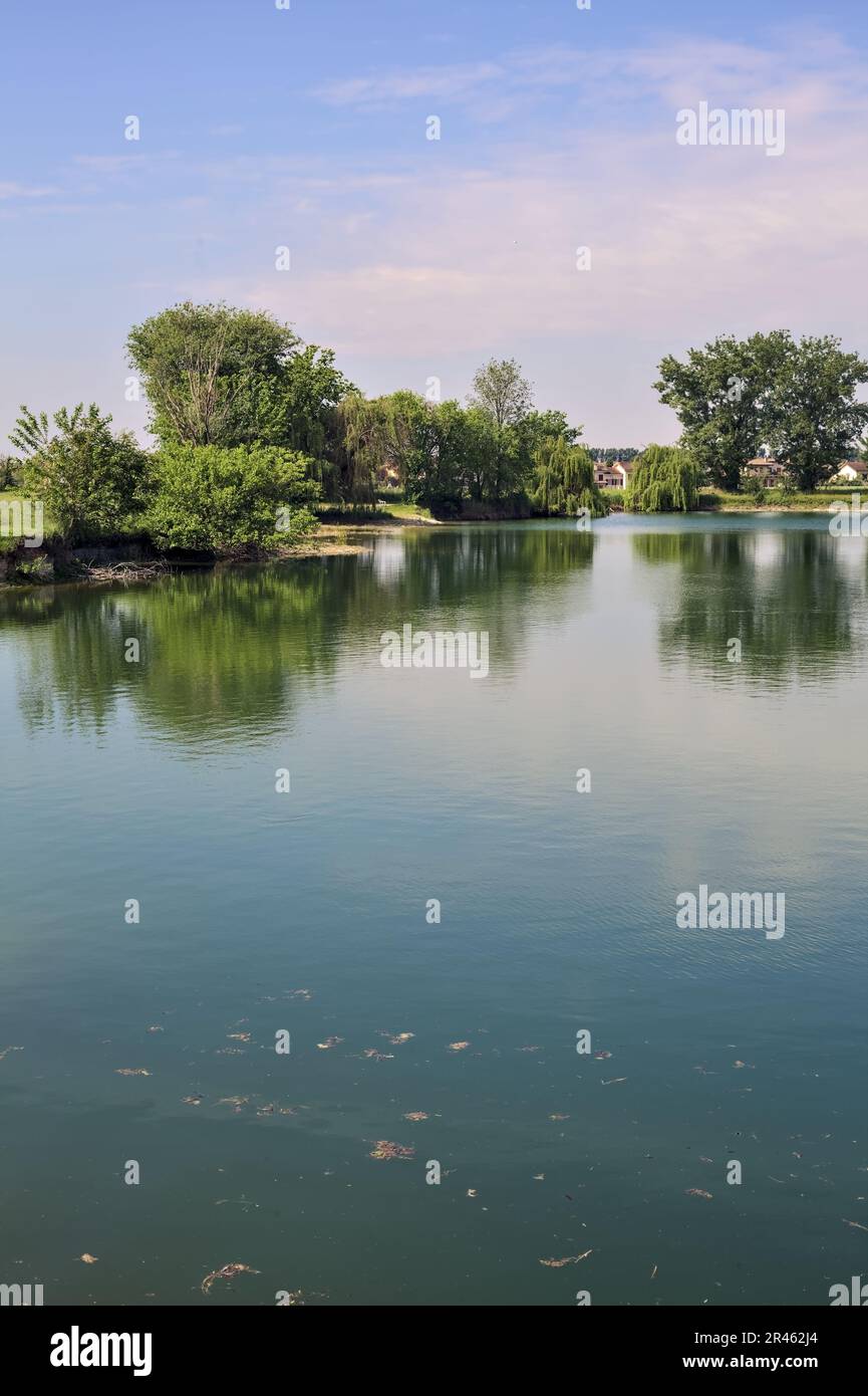 Trees by the edge of a basin and their reflections casted in the water ...