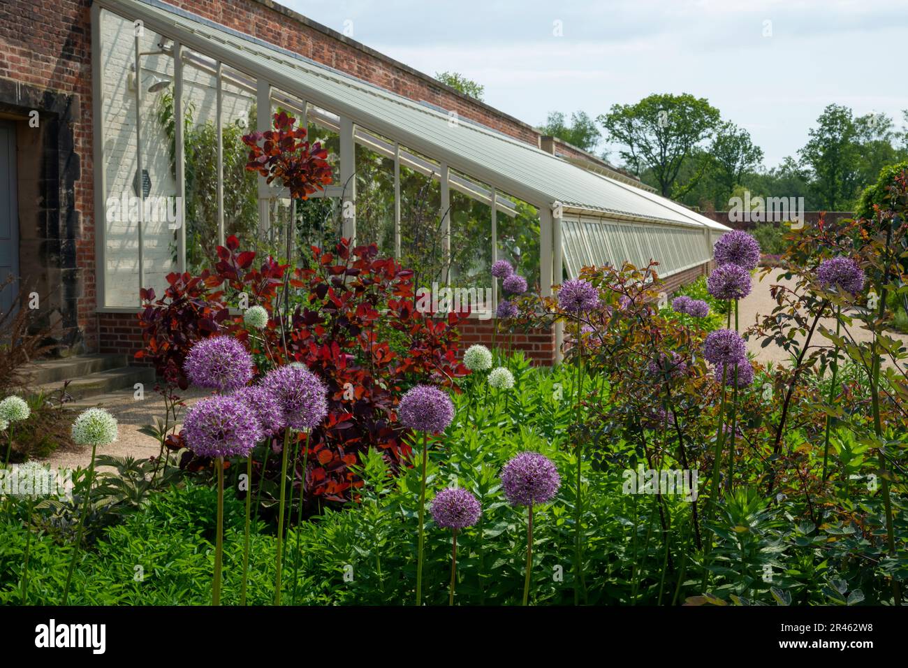 The Paradise garden at RHS Bridgewater, Worsley Greater Manchester ...