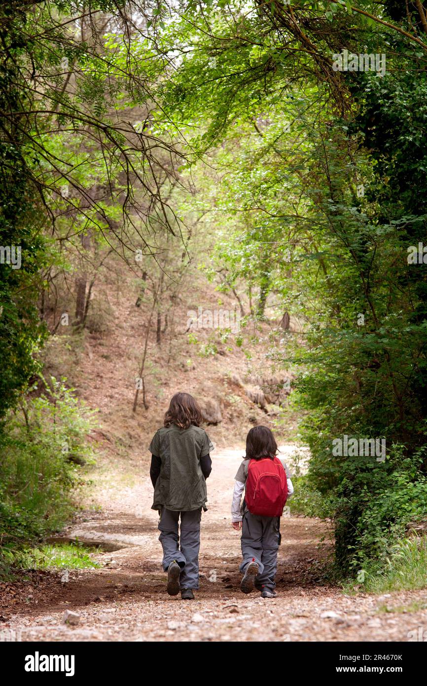Two siblings venture into the woods on a nature walk, embracing the spirit of exploration amidst the wonders of the natural world. Stock Photo