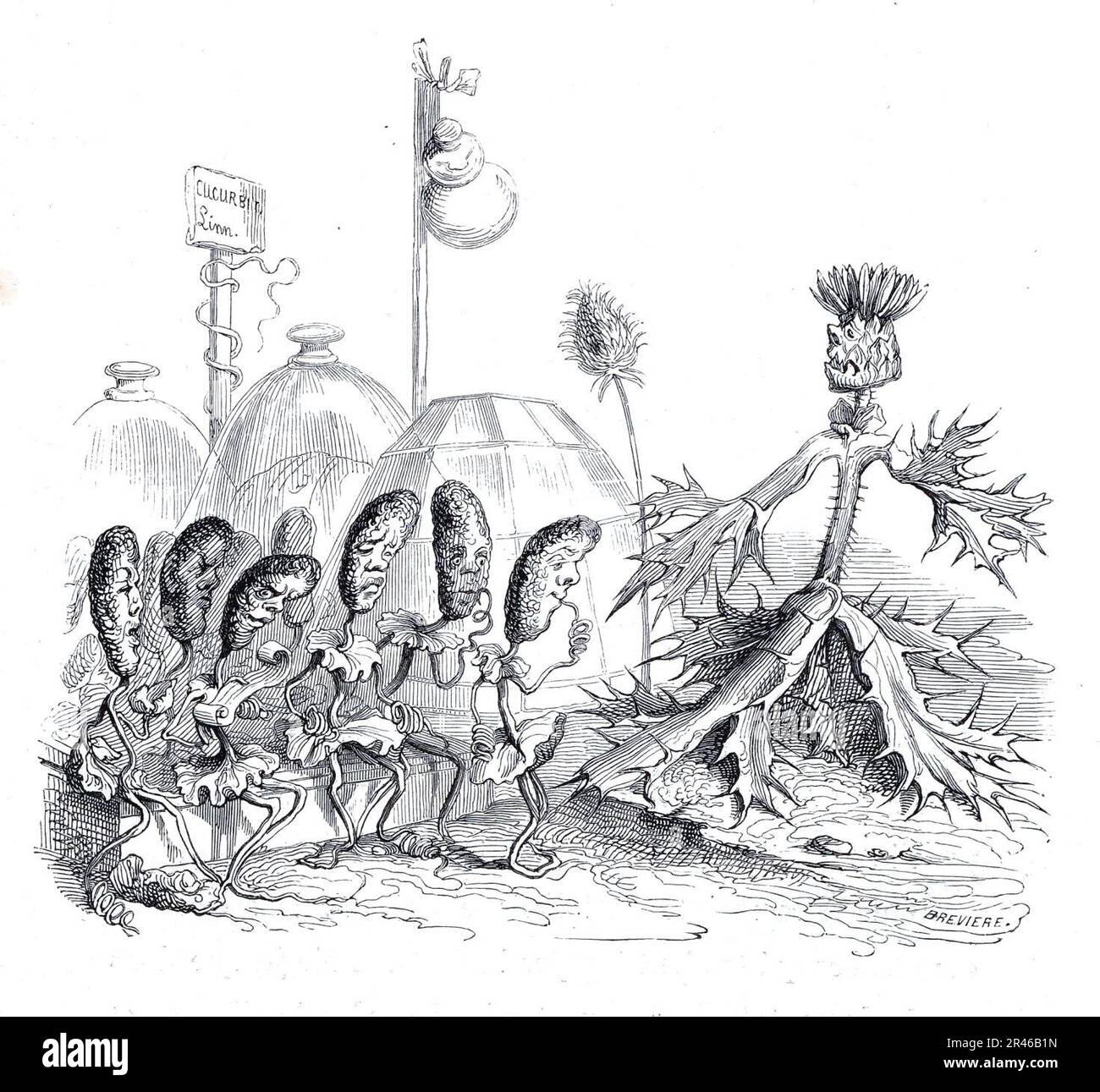 Grandville Une Révolution végétale 4 Stock Photo Alamy