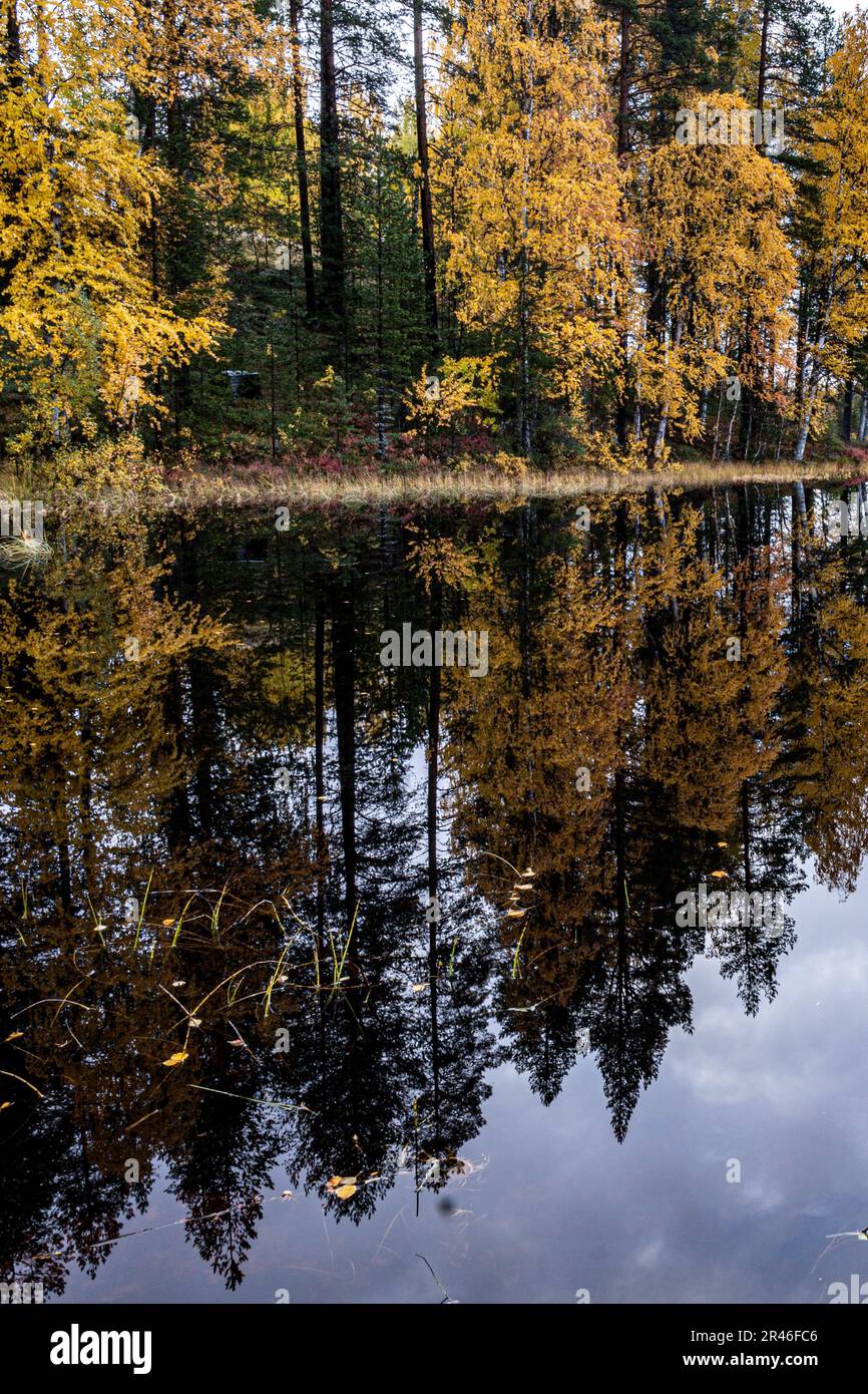 Serene pond reflecting forest hi-res stock photography and images - Alamy