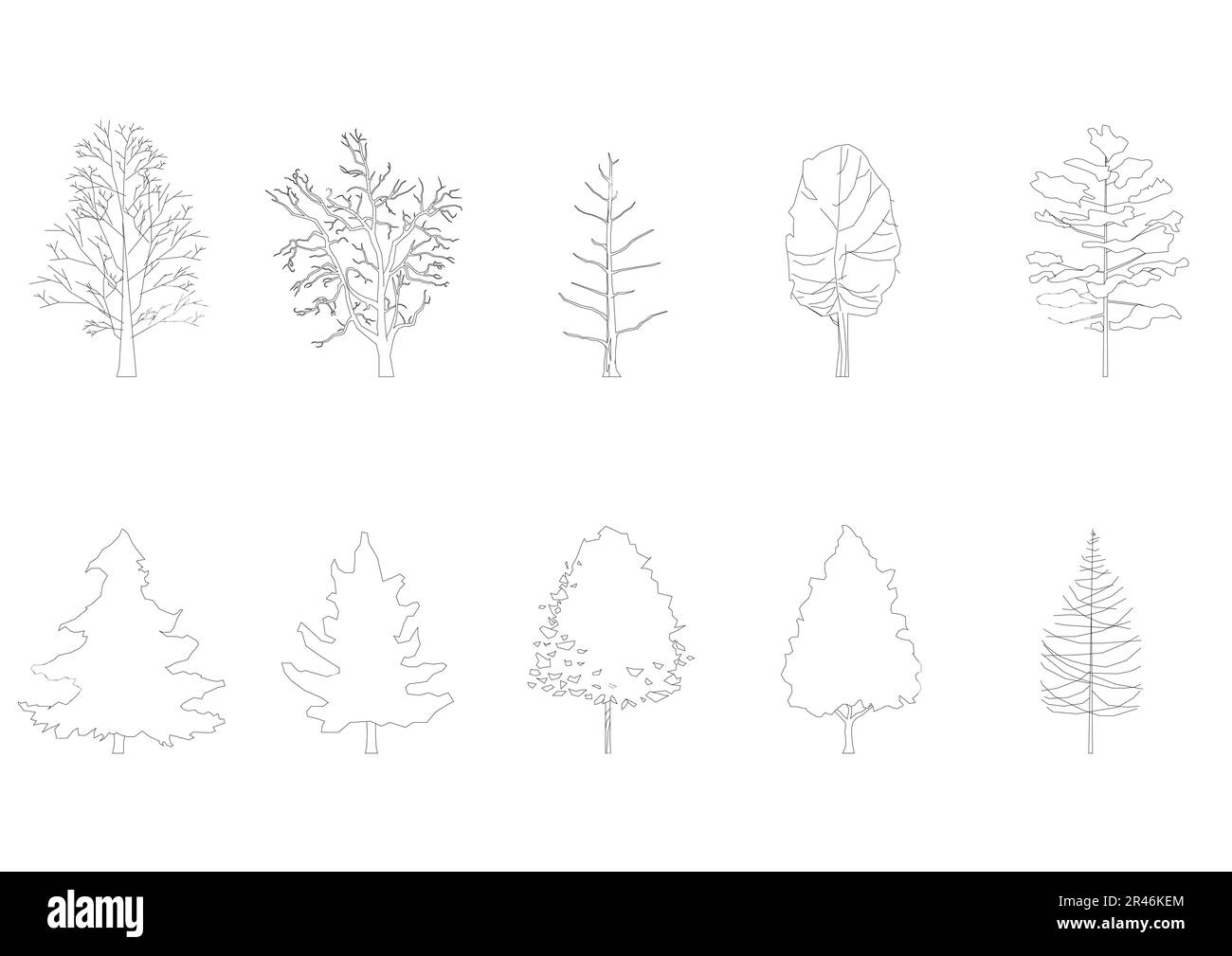 tree line drawing, Side view, graphics trees elements single object outline minimal plant symbol for architecture and landscape design. Vector. Stock Vector