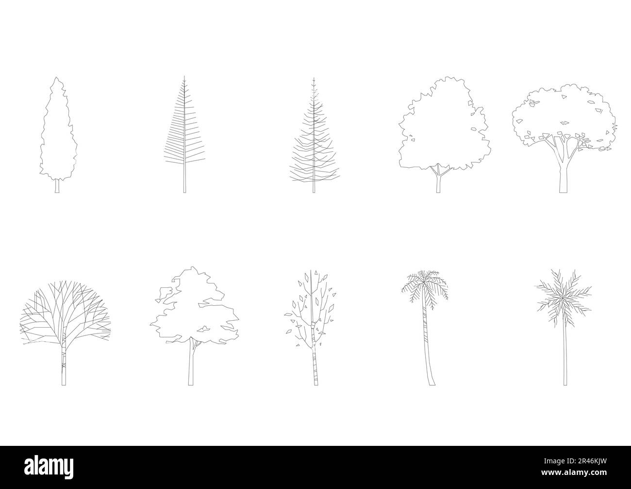tree line drawing, Side view, graphics trees elements single object outline minimal plant symbol for architecture and landscape design. Vector. Stock Vector