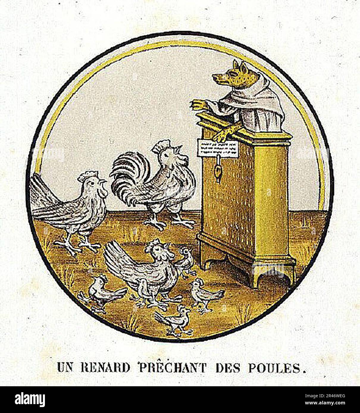 Des poules hi-res stock photography and images - Alamy