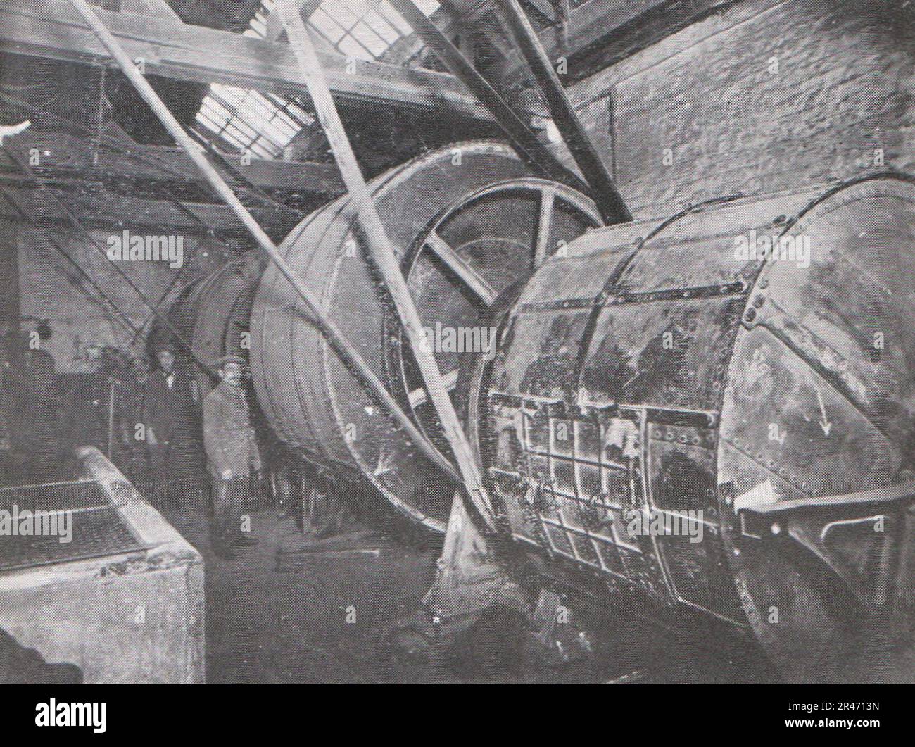 Under eight Monarchs, C. W. Martin & Sons, London, fur dressers, 1953