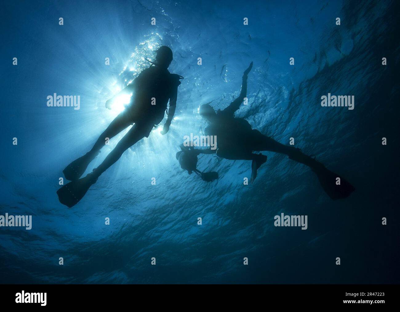 Underwater photography archive hires stock photography and images Alamy