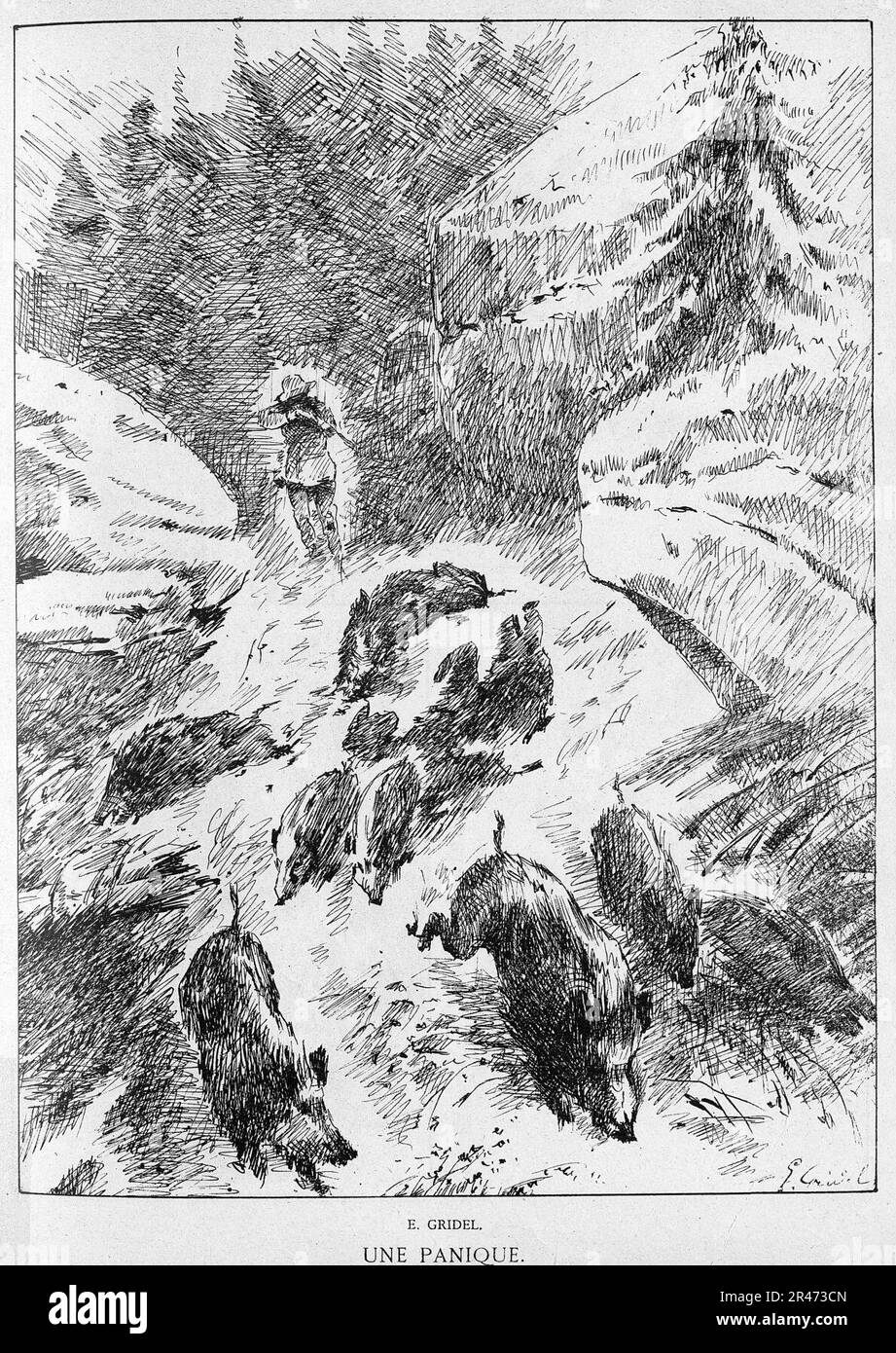 Une panique 755 814 Stock Photo Alamy