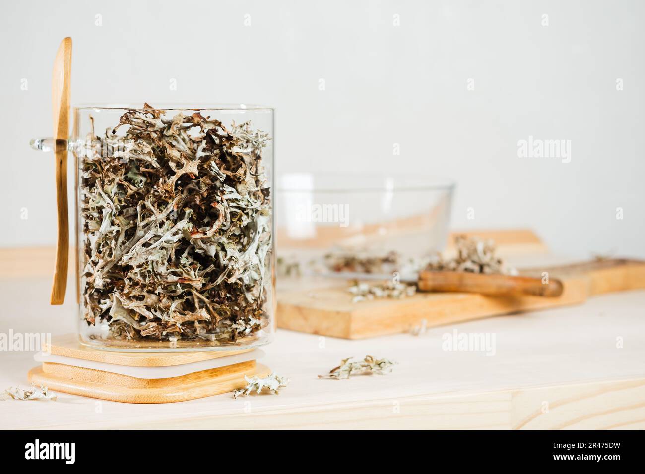 Dry icelandic moss in a glass jar. Cetraria islandica. Stock Photo