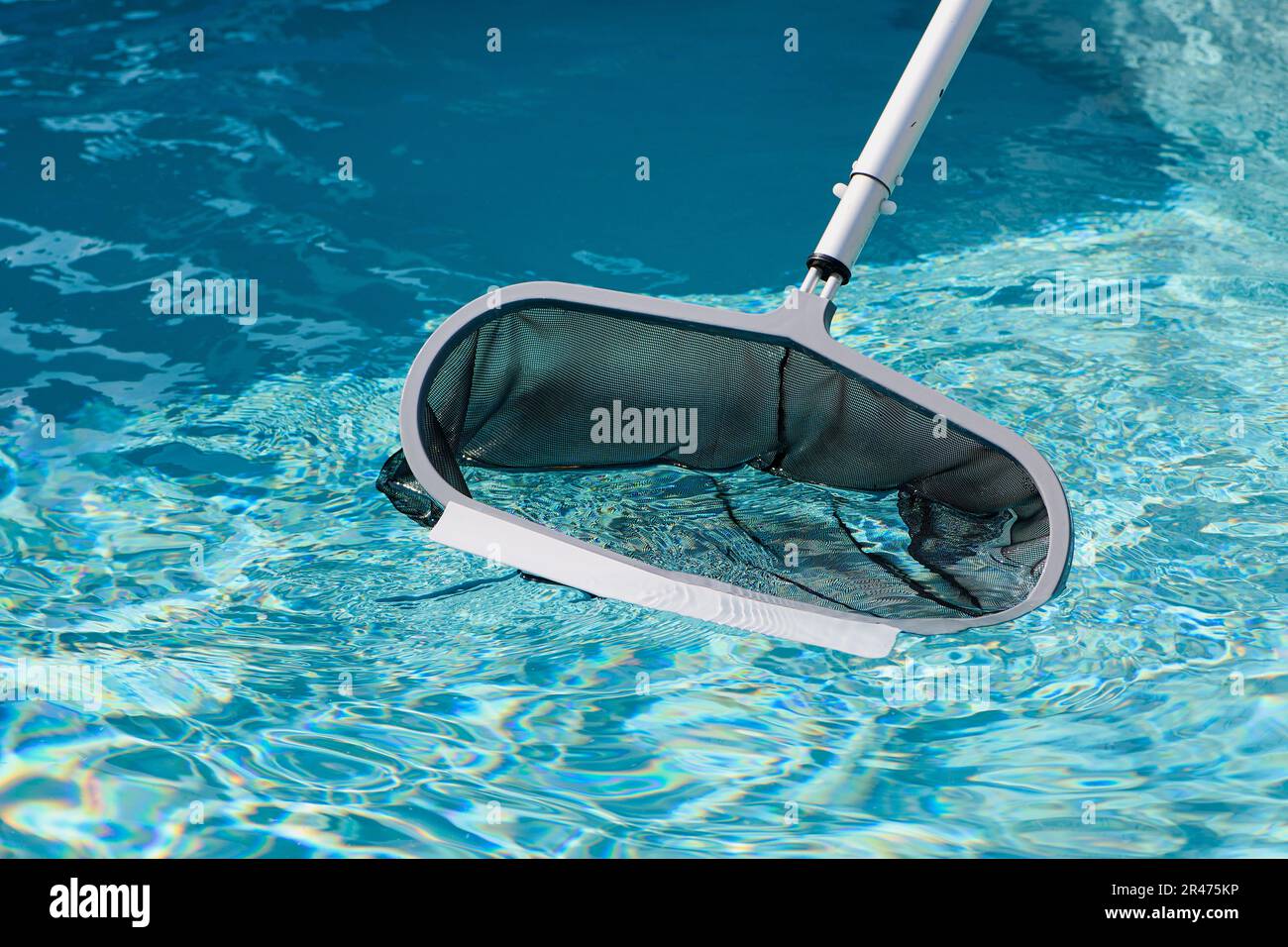 pool cleaning with a landing net Stock Photo Alamy