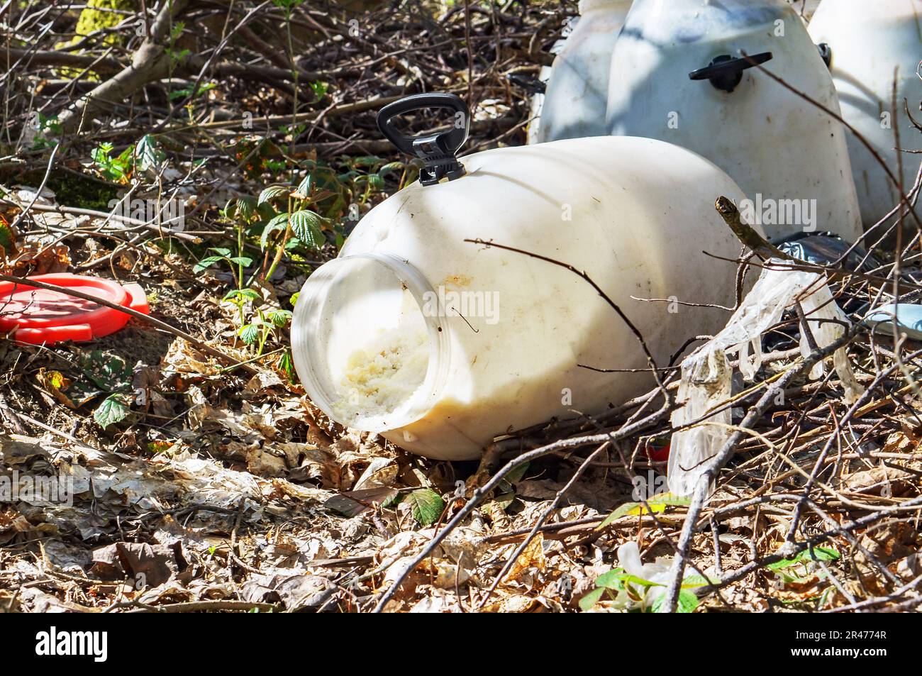 Construction debris in the woods. Forest and household waste. A